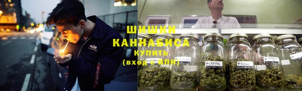 2c-b Инта