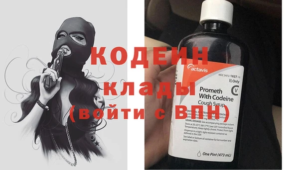 2c-b Инта