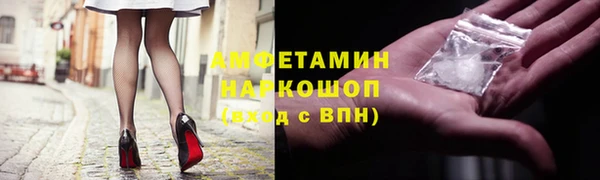 прущие грибы Инсар