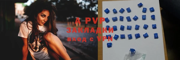 прущие грибы Инсар