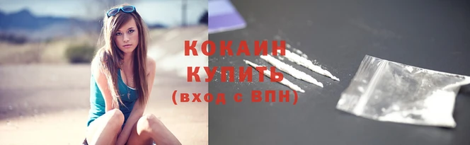 2c-b Инта