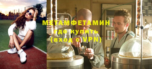 прущие грибы Инсар