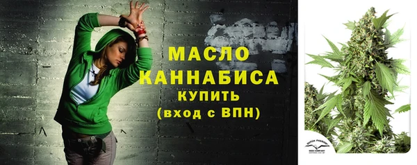 прущие грибы Инсар