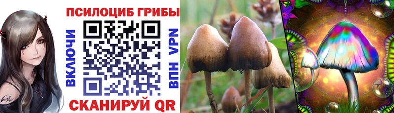 Галлюциногенные грибы Magic Shrooms  Кузнецк 