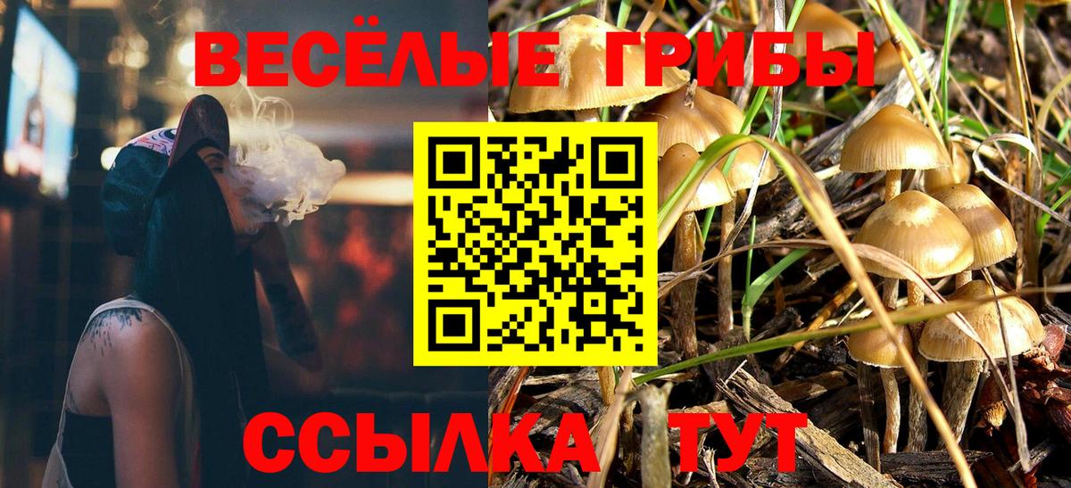 Кузнецк  что такое наркотик  Псилоцибиновые грибы Psilocybe  Вход с VPN  Псилоцибиновые грибы MAGIC MUSHROOMS 