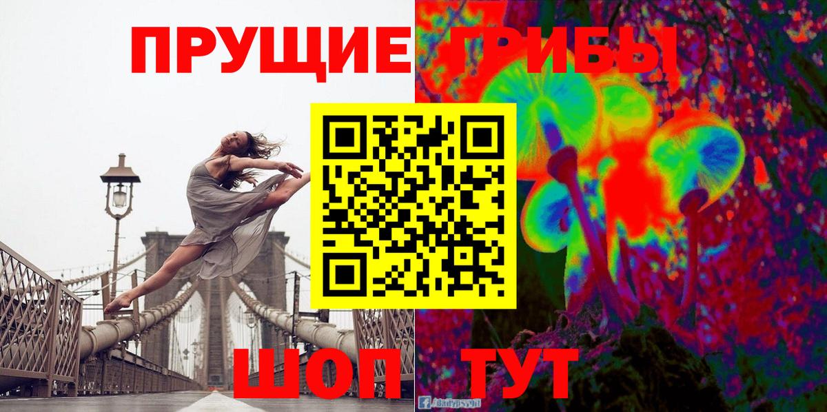 Галлюциногенные грибы Psilocybe Кузнецк